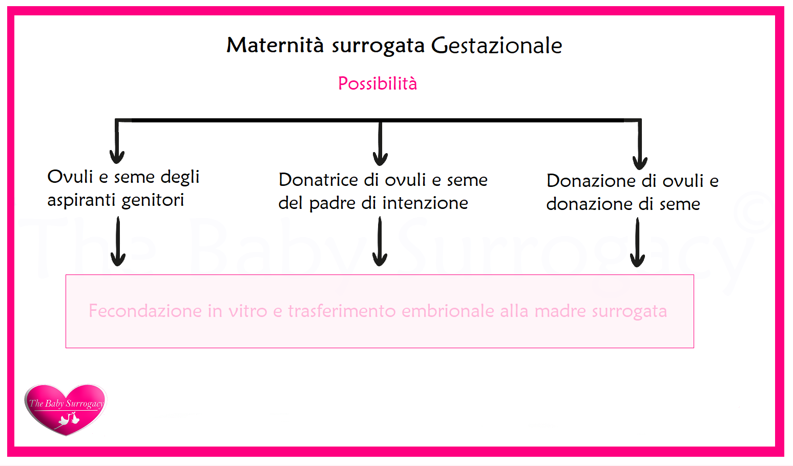 Funzionamento maternità surrogata totale