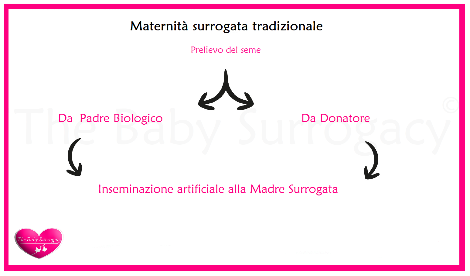 schema maternita surrogata tradizionale