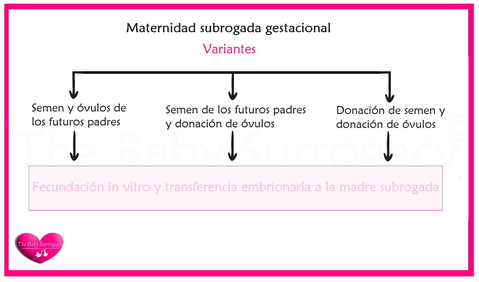 proceso de gestación subrogada