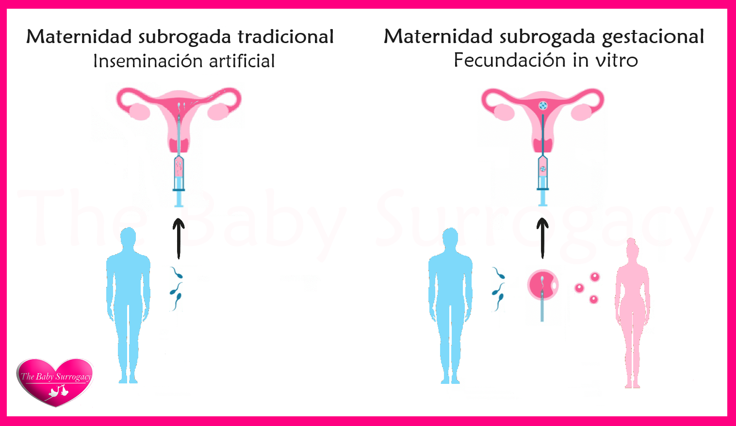 proceso de gestacion subrogada