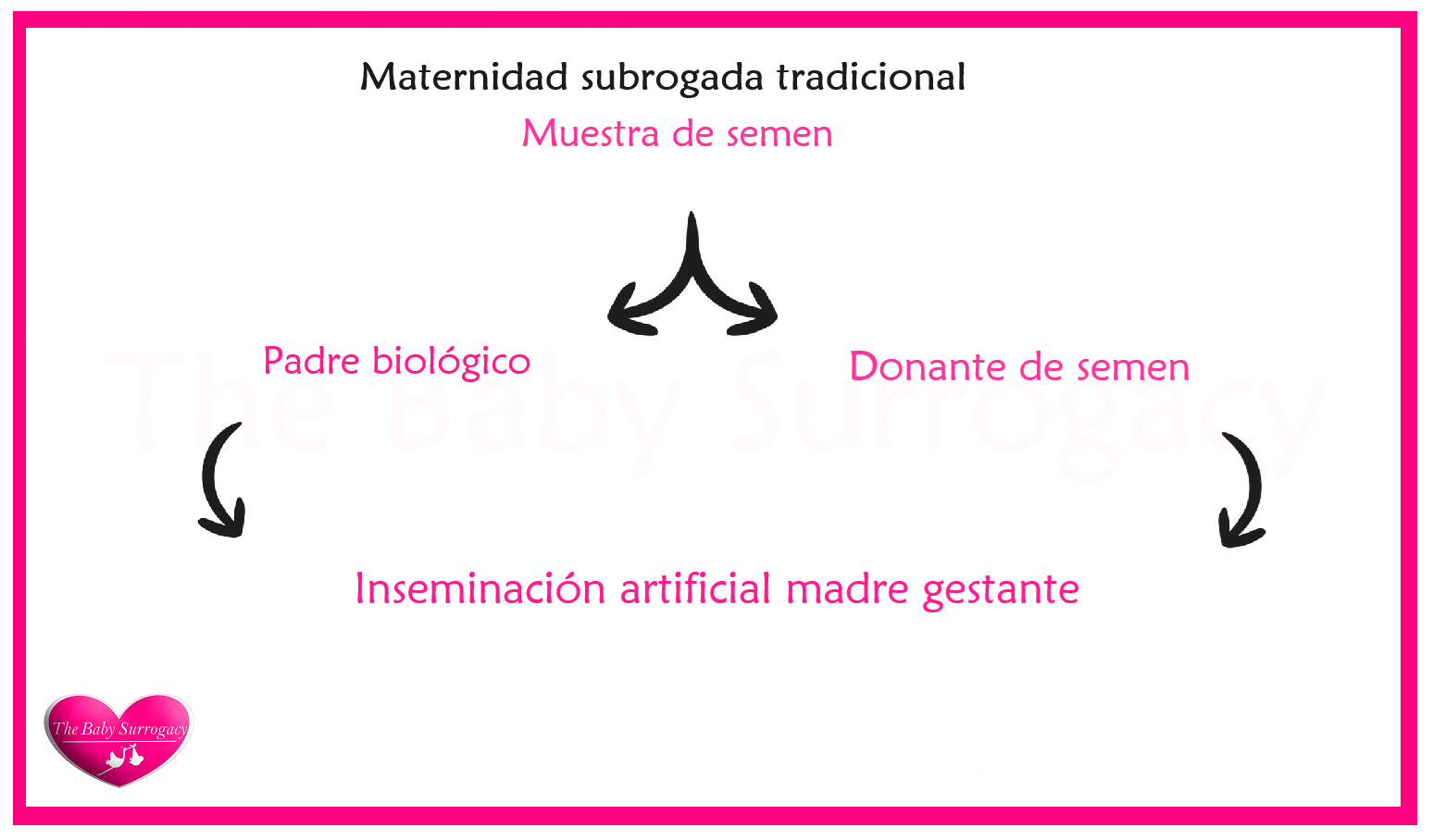 proceso de gestacion subrogada