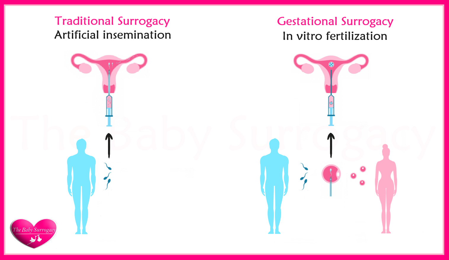 tradicional and gestational surrogacy 