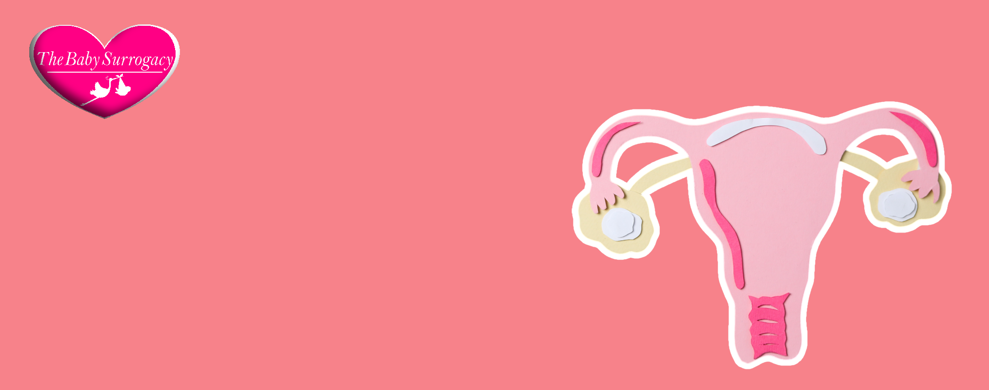 uterus transplant and surrogacy